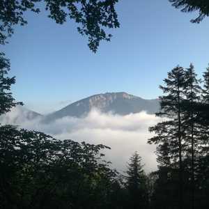 Fußwallfahrt nach Mariazell