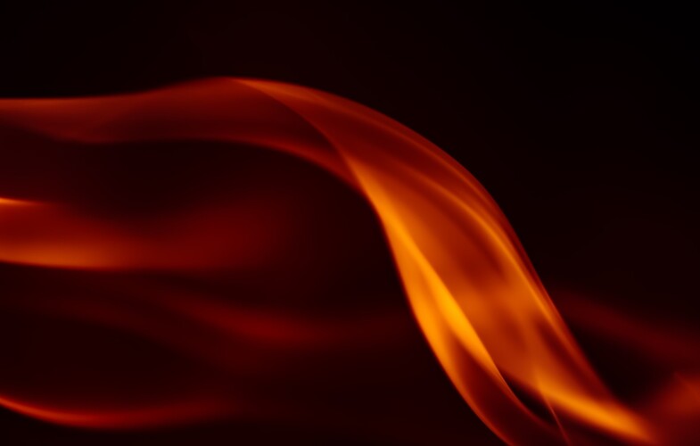 Marek Piwnicki / unsplash