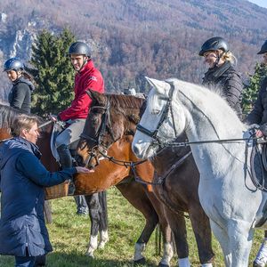 Unser Pfarrfest am Martinisonntag