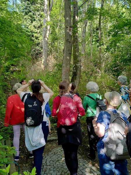 Bildrechte: Elfriede Maria Reininger