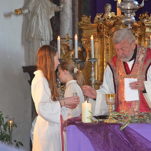 Palmweihe 2025 in Peggau