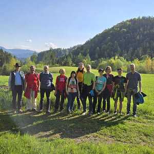 Traditionelle Wallfahrt nach Rein